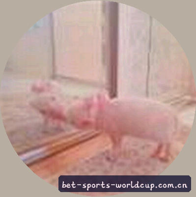 吴涛